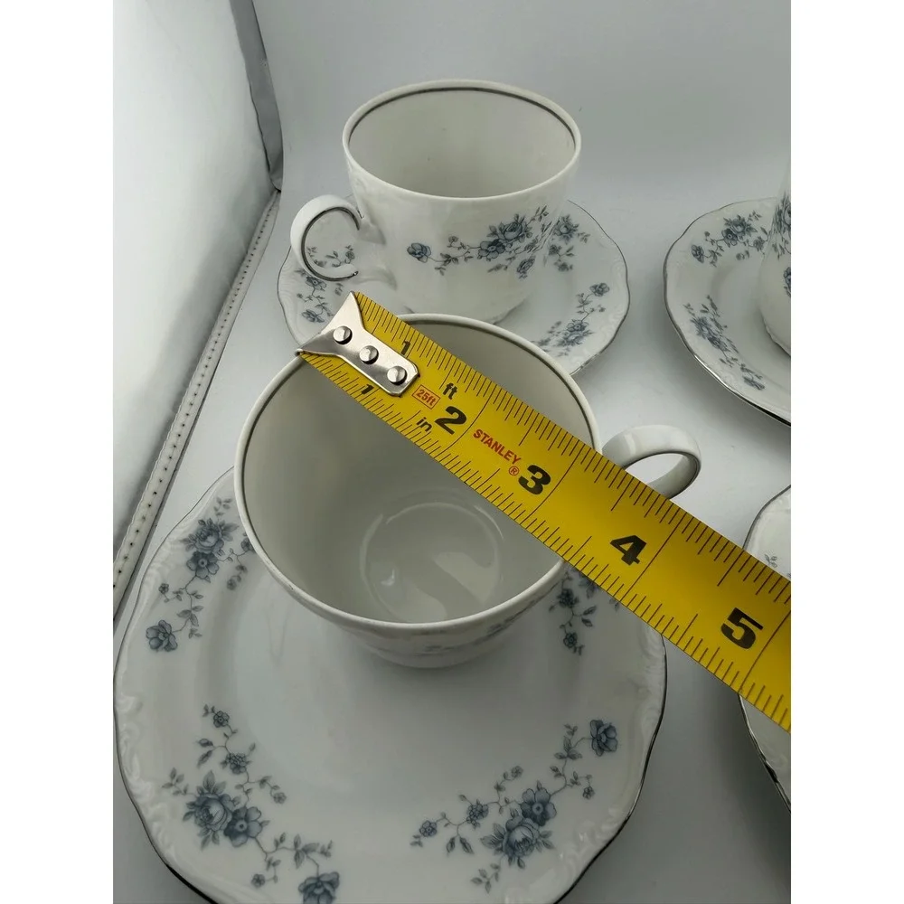 Johann Haviland Bavaria Germany Cup and Saucer Set Blue Floral‎ Trim